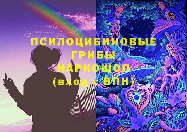дурь Наволоки