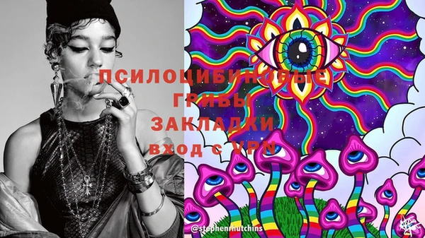 бошки Надым
