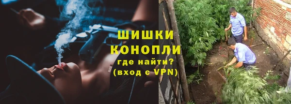 бошки Надым