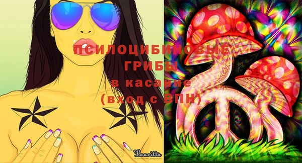 бошки Надым