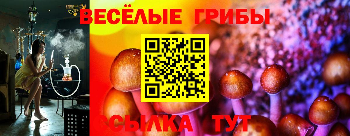 Якутск  Галлюциногенные грибы мухоморы  Вход с VPN  Галлюциногенные грибы мицелий 